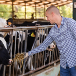 João Eustáquio De Almeida Junior mostra como a mentalidade agropecuária se torna a base estratégica para a diversificação e o crescimento empresarial sustentável.