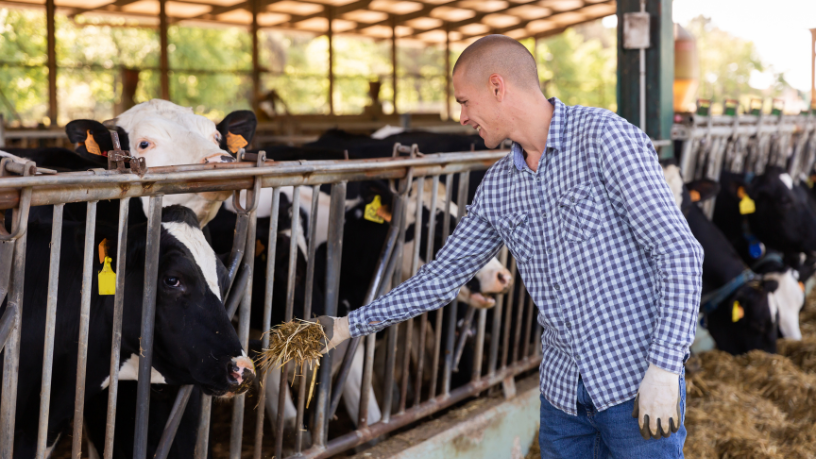 João Eustáquio De Almeida Junior mostra como a mentalidade agropecuária se torna a base estratégica para a diversificação e o crescimento empresarial sustentável.
