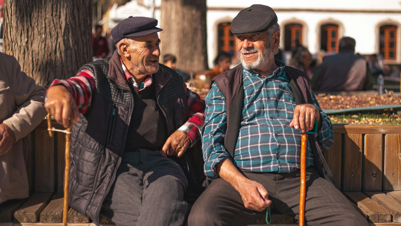 Sindnapi - Sindicato Nacional dos Aposentados, Pensionistas e Idosos